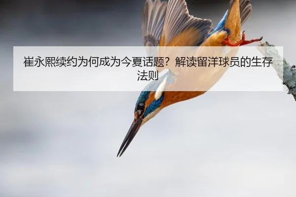 崔永熙续约为何成为今夏话题？解读留洋球员的生存法则